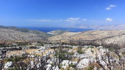Chios: Island and polis in the Archaic and Classical periods
