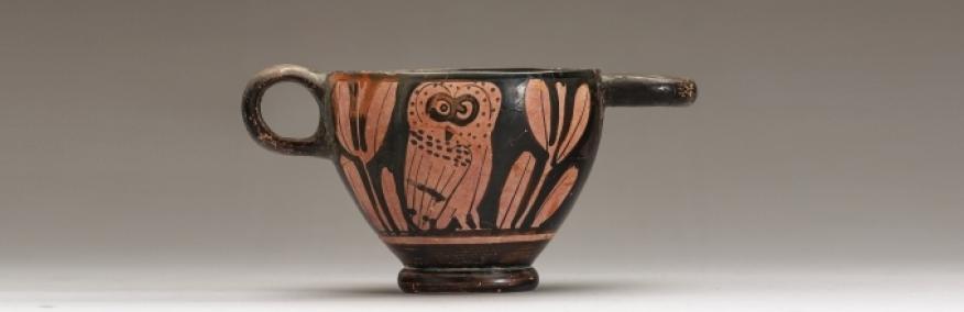 Friends of the ANU Classics Museum - overview