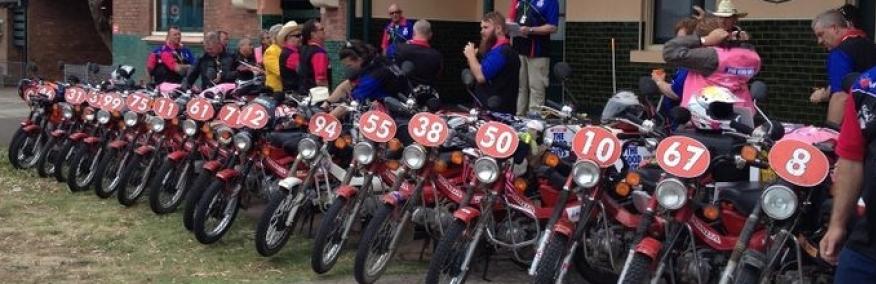Row of postie bikes ready for rally