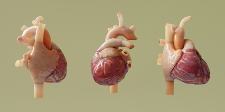 Improving communication to enhance patients’ health literacy, empowerment, and self-management of heart failure