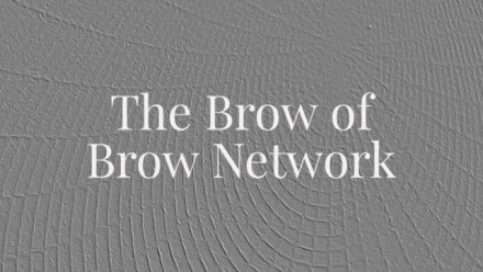 The Brow of Brow Network: Taste-making in Contemporary US Art and Literature